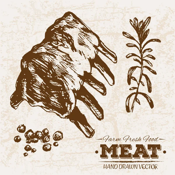 Ręcznie Rysowane Szkic Stek Produktów Mięsnych Żeber Gospodarstwa Świeże Jedzenie — Wektor stockowy