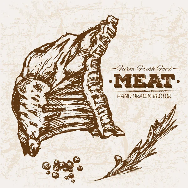 Desenho Mão Produtos Carne Bife Conjunto Com Costelas Fazenda Alimentos — Vetor de Stock