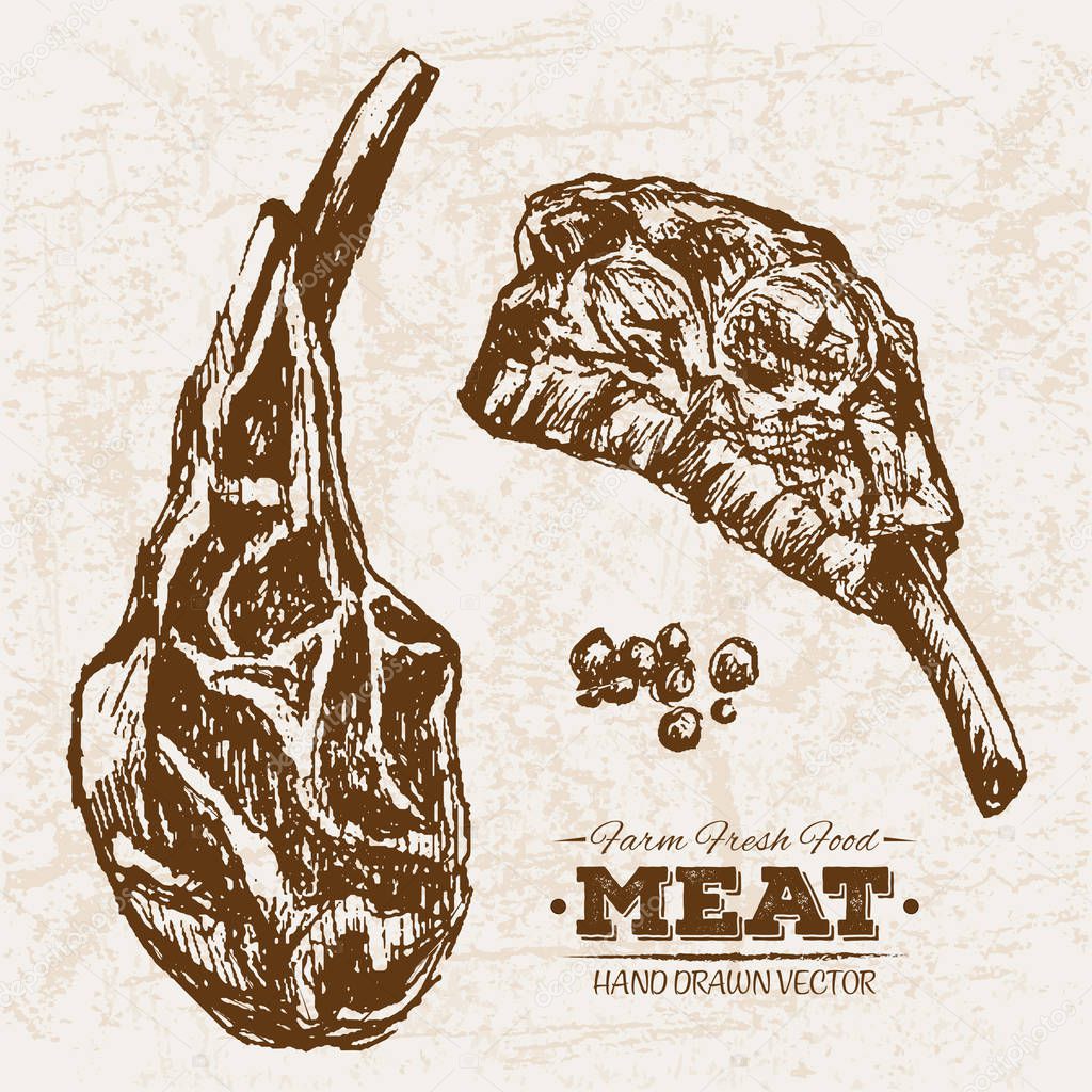 Hand drawn sketch steak meat products set, farm fresh food, black and white vintage illustration, simple drawing