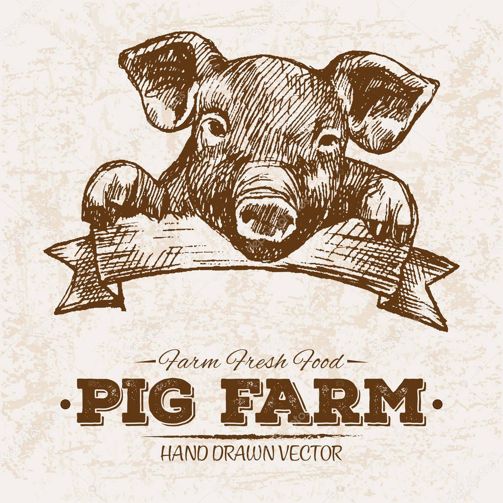 Hand drawn sketch steak meat products set with sausages and salami, pig farm food, black and white vintage illustration, simple drawing