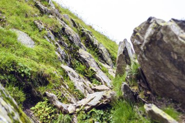 Kayalar ve Fagaras Dağları'nda çim. Bulutlu gökyüzü arka plan üzerinde. Romanya güzellikleri