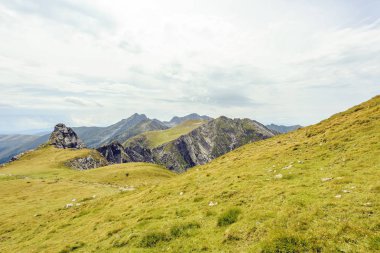 Bulutlu bir günde Paltinului eyer. Yeşil çim ve parlak gökyüzü. Fagaras dağlar, Romanya