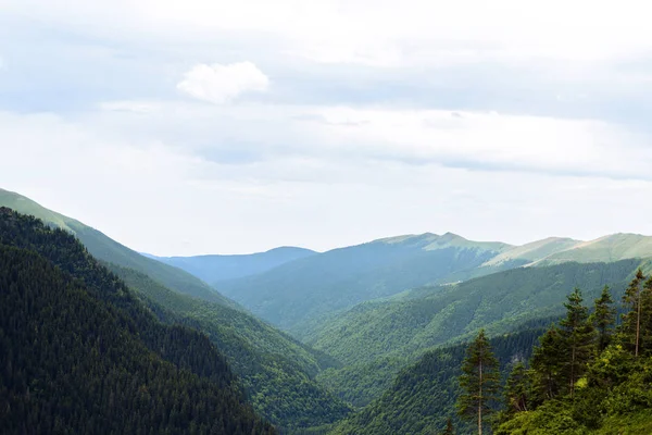 Fagaras Dağlar Kadar Uzakta Bulutlu Gökyüzü Orman Mavi Işık Romanya — Stok fotoğraf