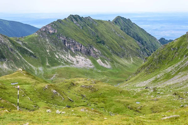 Οροσειρά Fagaras Μια Συννεφιασμένη Μέρα Μικρή Ροή Του Νερού Κοντά — Φωτογραφία Αρχείου