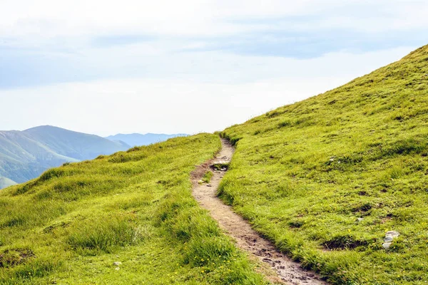 İki tarafta çimen ile yol Fagaras dağlarda. Bulutlu gökyüzü arka plan üzerinde. Romanya güzellikleri