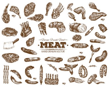 Elle çizilmiş et Barbekü kroki koleksiyonu, siyah ve beyaz vintage illüstrasyon