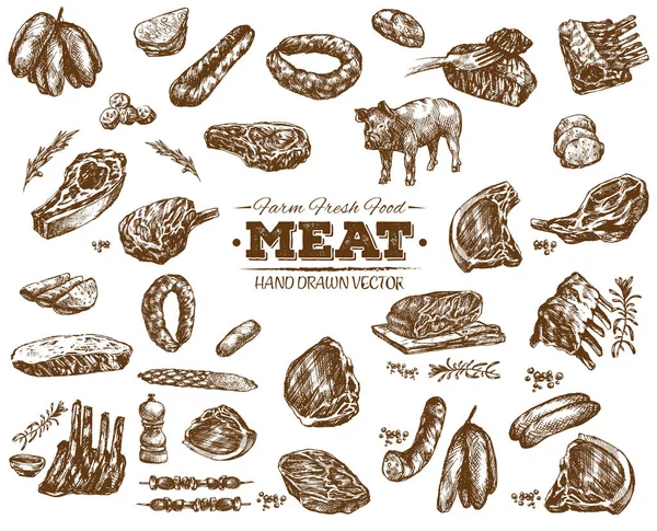 Hand Drawn Meat Bbq Sketch Collection Black White Vintage Illustration — Stock Vector