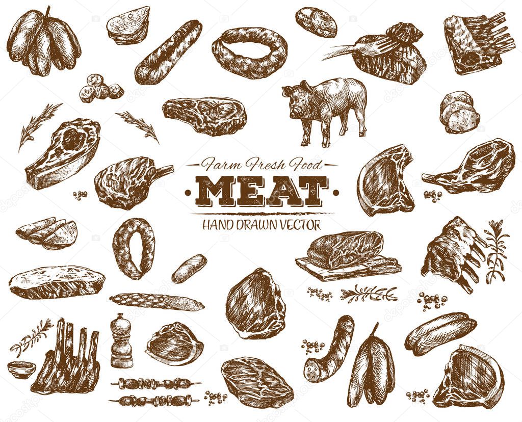 Hand drawn meat bbq sketch collection, black and white vintage illustration