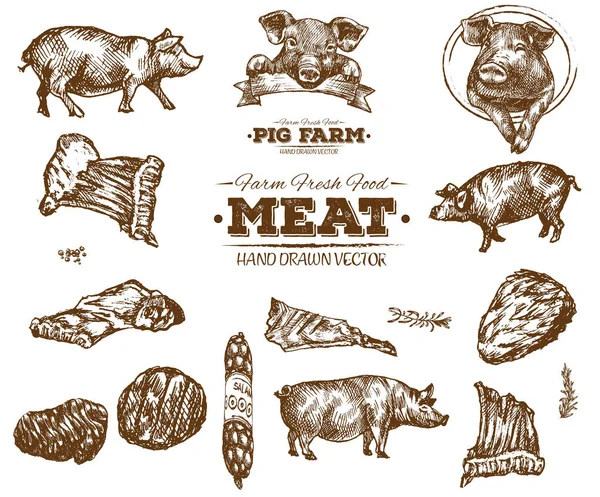 El çekilmiş taze çiftlik et Barbekü kroki koleksiyonu, siyah ve beyaz vintage illüstrasyon