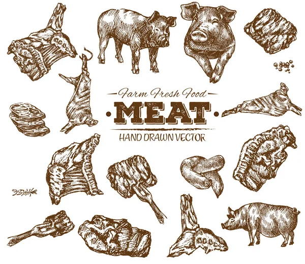 Raccolta Schizzi Carne Fresca Fattoria Disegnata Mano Illustrazione Vintage Bianco — Vettoriale Stock