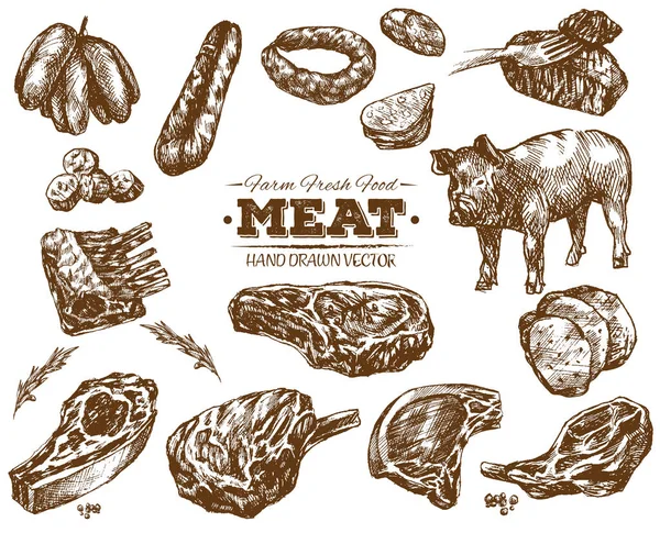 Collection Croquis Barbecue Viande Fraîche Dessinée Main Illustration Vintage Noir — Image vectorielle