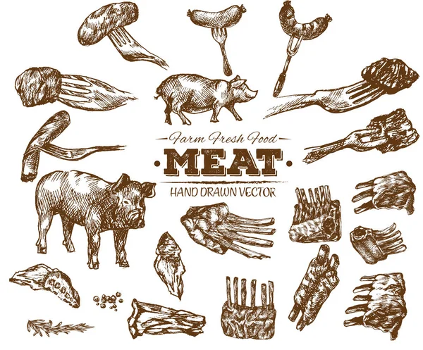 El çekilmiş taze çiftlik et Barbekü kroki koleksiyonu, siyah ve beyaz vintage illüstrasyon