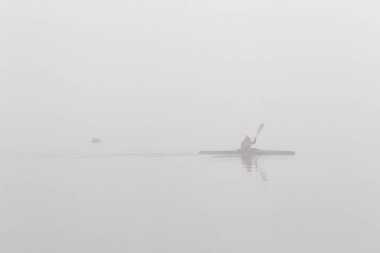 Adam bir gölde bir ördek, gümüş sis arka plan yakınındaki sabah erken Kayak