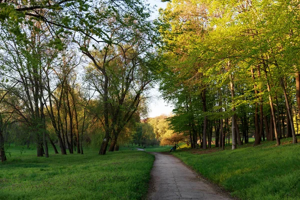 Weg Dendrarium Park Chisinau Moldavië — Stockfoto