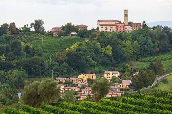 Trauben Wachsen Weinbergen Und Villa Conegliano Italien — Stockfoto