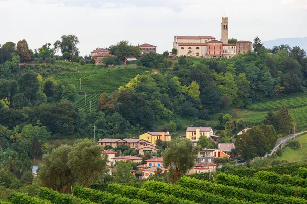 Uvas Vinhedos Vivenda Conegliano Itália — Fotografia de Stock