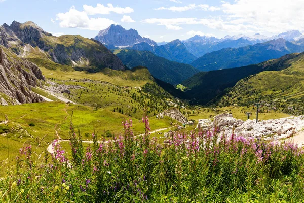 Grüne Wiesen Und Blumen Den Dolomiten Alpen Berge Italien — Stockfoto