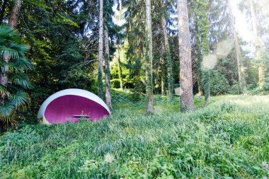 Orman tabloda soyut sandalyeyle. Como Gölü kıyısında. Köşeden parlayan güneş. Bellagio, İtalya