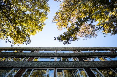Ters ağaçlar içinde pencere eşiği yansıtan bir Binası yakınındaki görünümünü. Sonbahar sıcak renkler.