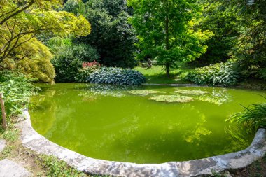 Küçük Gölet Como Gölü kıyısındaki '. Zemin üzerine yeşil ağaçlar. Bellagio, İtalya
