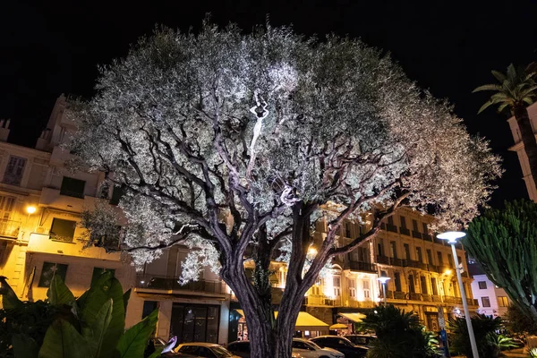 White Christmas tree on the streets of Cannes. Christmas atmosphere. Wide angle shot at night