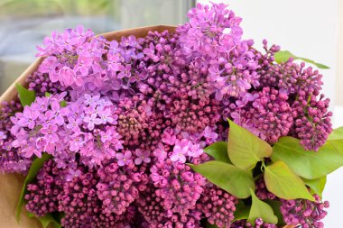 Buket menekşe bahar eflatun çiçek, yumuşak çiçek arka plan