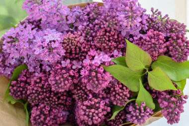 Buket menekşe bahar eflatun çiçek, yumuşak çiçek arka plan