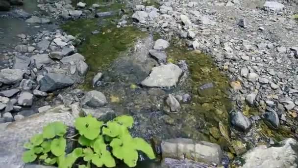 폭포와 흔적에 Transfagarasan 루마니아 — 비디오