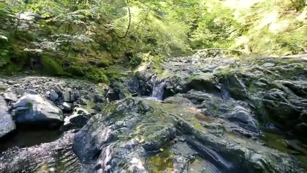 Cascadas Ríos Sendero Turístico Forestal Transfagarasan Rumania — Vídeos de Stock