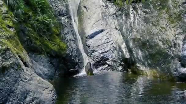 Καταρράκτες Και Ποτάμια Τουριστικό Μονοπάτι Του Δάσους Transfagarasan Ρουμανία — Αρχείο Βίντεο