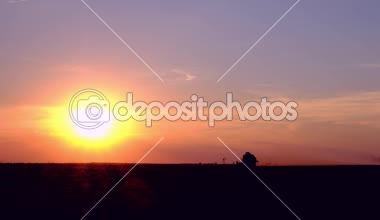 Tarım araç birleştirme veya traktör siluet bir kırpma alanı günbatımında Moldova pembe gökyüzü ile hasat 