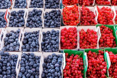 Çilek yanındaki yaban mersini. Renkli göz. Kırmızı mavi. Sıcak beyaz dengesi