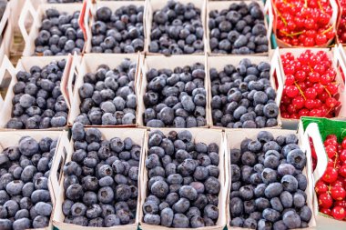 Çilek yanındaki yaban mersini. Renkli göz. Kırmızı mavi. Sıcak beyaz dengesi