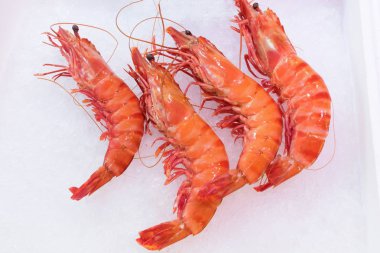 Fransız bir pazarda taze karides. Görünümlü lezzetli deniz ürünleri. Atış kapatın