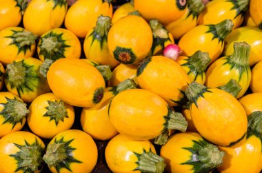 Ham ve taze kabak doku. Vegan gıda insanlar için. Güzel sebze seyir