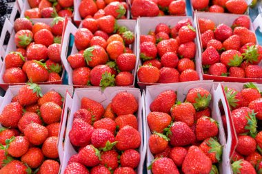 Çok kırmızı çilek küçük kutular içinde. Tatlı görünümlü görüntü. Lezzetli meyve. Geniş çekim