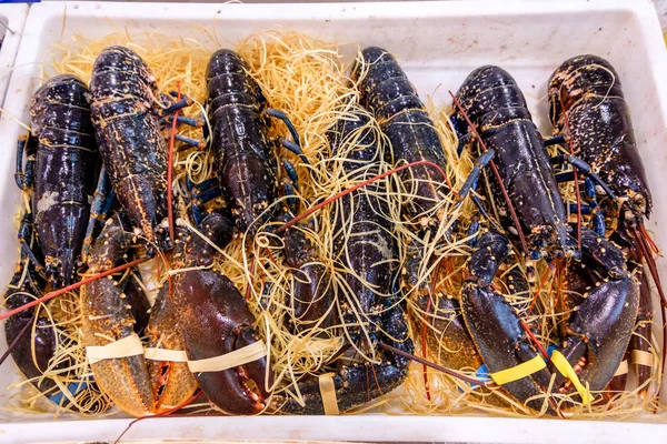 Fris Ongekookt Franse Zwarte Loobster Een Markt Zeevruchten Het Ijs — Stockfoto