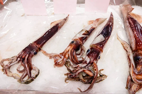 Friss Squid Piacon Nyers Tengeri Ételek Jégen Nedves Állatok Lövés — Stock Fotó