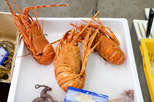 Fris Ongekookt Franse Loobster Een Franse Markt Zeevruchten Het Ijs — Stockfoto