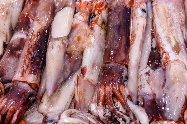 Свіжі Кальмари Ринку Сира Морська Їжа Льоду Мокрі Тварини Крупним — стокове фото