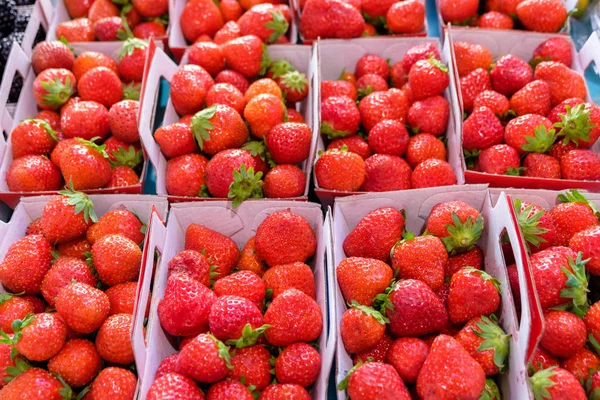 Zeer Rode Aardbeien Kleine Vakken Sweet Zoek Afbeelding Heerlijke Vruchten — Stockfoto