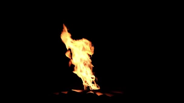Altın Kırmızı Ateş Siyah Arka Plan Üzerinde Rüzgar Üzerinde Yanan — Stok video