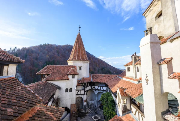 Jardim Castelo Bran Luz Dia Céu Azul Fundo Roménia Pontos — Fotografia de Stock