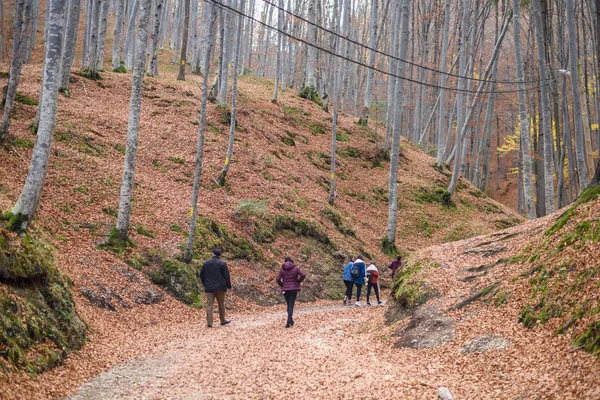 Traject Naar Valea Cetatii Grot Herfst Seizoen Rasnov Roemenië — Stockfoto