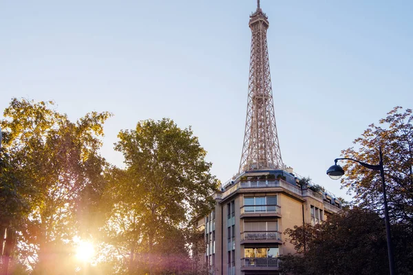 Sunlight Shining Trees Illuminates Street City Paris Eiffel Tower Building — Stock Photo, Image