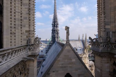 Çatıya Notre Dame de Paris Katedrali, Paris, Fransa