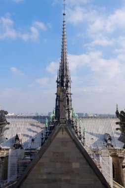 Çatıya Notre Dame de Paris Katedrali, Paris, Fransa