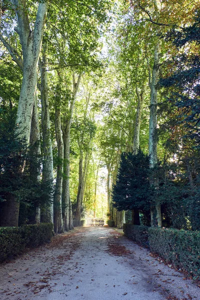 Park Van Het Het Paleis Van Fontainebleau Bij Daglicht Uitzicht — Stockfoto