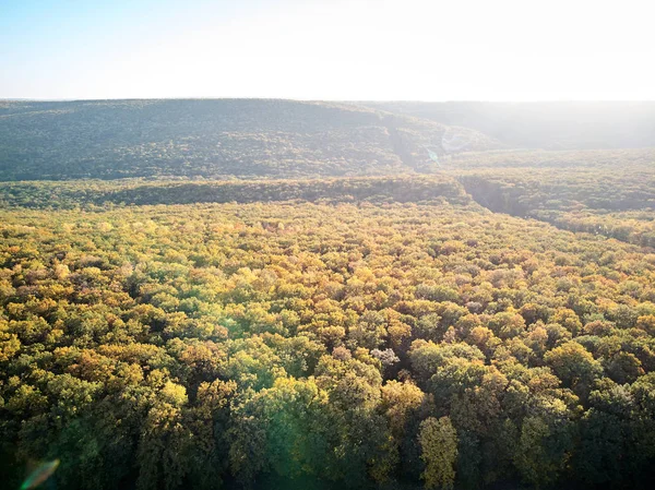 Foto Aerea Della Foresta Autunnale Sulla Strada Chisinau Leuseni Moldavia — Foto Stock