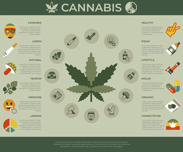 Digitala Vektor Cannabis Friska Medicin Ikoner Set Platt Stil Infographics — Stock vektor